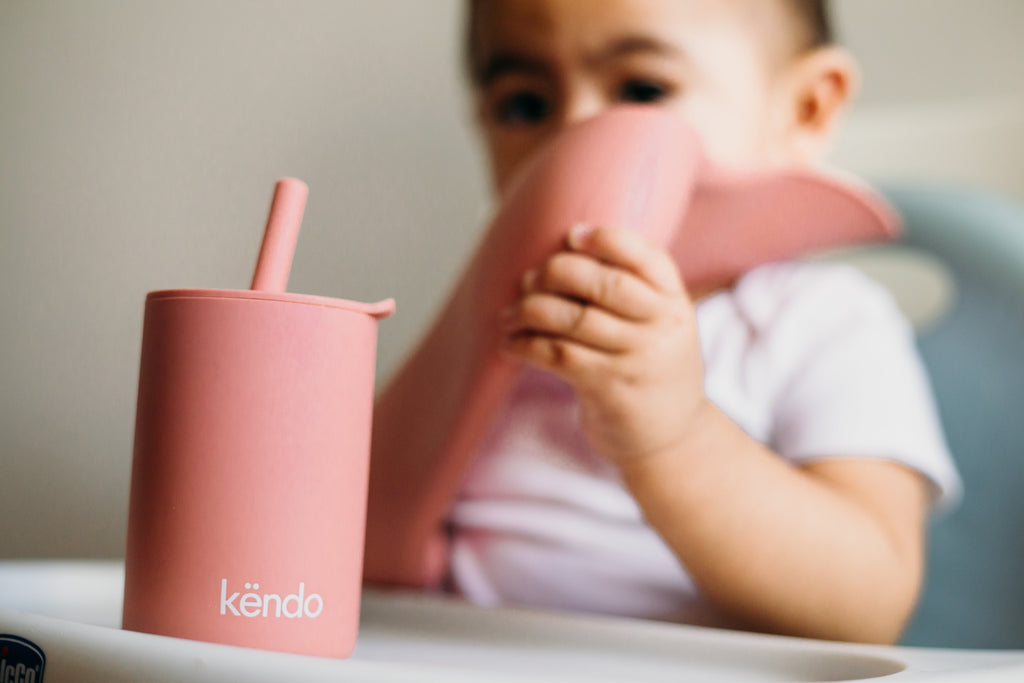Baby is using the rose dawn bib and smoothie cup